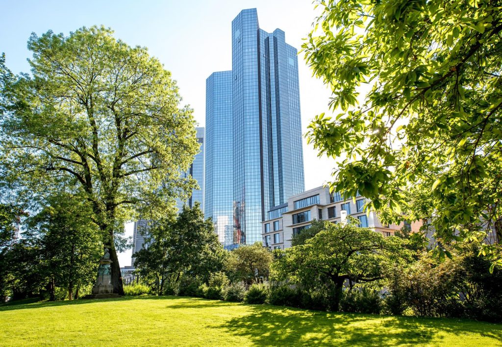 Park egy zöld városban.